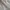 Vintage Babydoll dress Wanita white photo 6