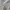 Vintage Babydoll dress Wanita white photo 7