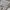 Vintage Babydoll dress Wanita white photo 3