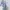 Authentic Furla Metropolis Medium Shoulder Bag photo 2