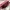 Authentic Furla Metropolis Medium Shoulder Bag photo 8
