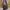 Authentic Longchamp Messenger Bag photo 3