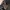 Authentic Longchamp Messenger Bag photo 6