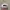 New Era Streetwear Casual Hat Pria white photo 6