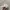 New Era Streetwear Casual Hat Pria white photo 5