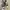 Converse Streetwear Casual Sneakers Pria brown photo 2