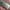 Samsung Galaxy J4 2018 photo 2