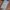 Samsung Galaxy J4 2018 photo 1