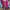 Outer fanta  photo 1