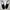 Brand NEW Sepatu VIONIC Canvas Men US10 photo 1