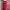 red midi skirt model carpenter photo 2