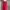 Red Midi Skirt Model Carpenter