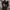 Hoodie VHT The Venhit photo 5