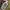 A Bathing Ape Streetwear Casual Hoody Pria green gray photo 6