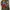 A Bathing Ape Streetwear Casual Hoody Pria green gray photo 7