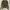 A Bathing Ape Streetwear Casual Hoody Pria green gray photo 2