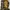 A Bathing Ape Streetwear Casual Hoody Pria green gray photo 8