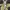 A Bathing Ape Streetwear Casual Hoody Pria green gray photo 4