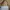 Charles & Keith Shoulder Bag photo 1