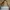 Charles & Keith Shoulder Bag