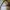 Charles & Keith Shoulder Bag