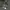 Iphone 11 Pro Max 256Gb ex Inter Midnight Green photo 1