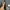 Iphone 11 Pro Max 256Gb ex Inter Midnight Green photo 4