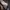 Adidas Streetwear Casual Sneakers Pria cream black photo 2