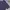 Polo Ralph Lauren Polo Shirts photo 1