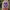 natural amethyst cekerboart natural kecubung bukan topas buk photo 1