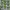 NATURAL PERIDOT BIRMA NO TREATMENT photo 2