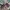 Arnold Palmer panoramic scene aop polo shirt photo 4