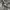 Arnold Palmer panoramic scene aop polo shirt photo 5