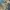 Arnold Palmer panoramic scene aop polo shirt photo 2