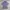 Polo Ralph Lauren Polo Shirts
