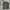 Massimo Dutti Luxury Casual Polo shirt Pria khaki brown photo 1