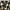 Dickies Vintage Streetwear Casual shirt Pria white black photo 3