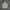 Carhartt Minimalist Hoody Pria Gray