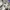 Streetwear Vintage Windbreaker Pria cream blue photo 5