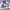 Streetwear Vintage Windbreaker Pria cream blue photo 6