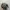 Helm Bogo Classic Polos Krooz Dewasa Full Leher Pria Wanita  photo 4