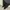 leopard black on black balloon pants photo 2