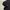 leopard black on black balloon pants photo 8