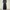 leopard black on black balloon pants photo 4