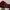 Adidas Christmartin photo 2
