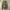 baggy pants cargo camo photo 4