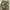 baggy pants cargo camo photo 6