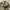 baggy pants cargo camo photo 7