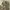 baggy pants cargo camo photo 8