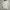 Kaos Vintage Bootleg Harley Davidson photo 1